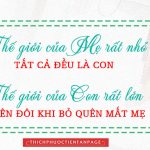 Những hạt đậu của mẹ aaa