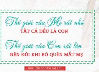 Những hạt đậu của mẹ aaa