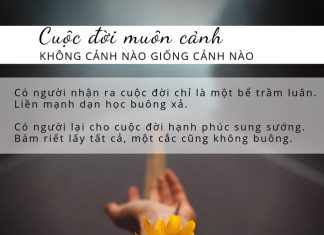 Cuộc sống muôn màu, cuộc đời muôn cảnh thichphuoctien-MANH-DAN-BUONG-XA