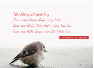 “Chiếc lồng” tự tạo thichphuoctien-bay-cao