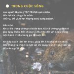 Cái bẫy chuột thichphuoctien-cai-bay-chuot