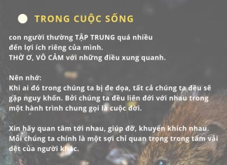 Cái bẫy chuột thichphuoctien-cai-bay-chuot