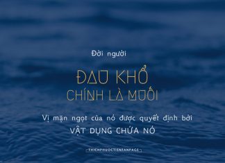 Những mẩu chuyện hay