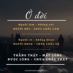 Sống khiêm tốn mới là đỉnh cao của sự hiểu biết