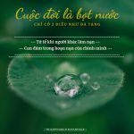 Những điều đừng nên làm trong cuộc sống