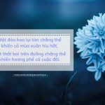 Đời người khổ do dục vọng, lòng người mệt bởi so bì