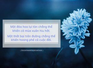 Đời người khổ do dục vọng, lòng người mệt bởi so bì