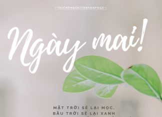 Cuộc đời trầm lặng