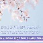 Sống một đời thanh thản thichphuoctien-song-mot-doi-thanh-than