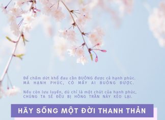 Sống một đời thanh thản thichphuoctien-song-mot-doi-thanh-than