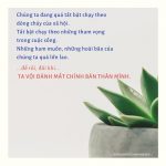 Trên đời không có gì là hoàn hảo thichphuoctien-song-voi