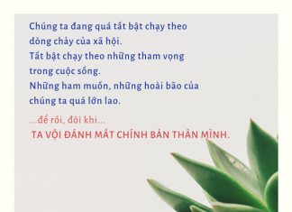 Trên đời không có gì là hoàn hảo thichphuoctien-song-voi