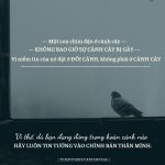 Dù đang đứng trong hoàn cảnh nào, hãy luôn vững tin vào bản thân mình
