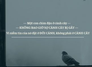 Dù đang đứng trong hoàn cảnh nào, hãy luôn vững tin vào bản thân mình