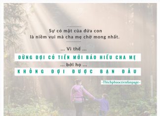 Đừng đợi có tiền mới báo hiếu cha mẹ.
