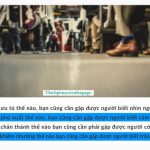 Gặp gỡ rồi cũng phải chia ly, hãy trân quý những tháng ngày hiện tại.