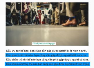 Gặp gỡ rồi cũng phải chia ly, hãy trân quý những tháng ngày hiện tại.