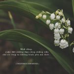 Hoa không cần phân biệt đẹp xấu. Bạn nở, chỉ vì đến lúc mình cần nở rực rỡ mà thôi…