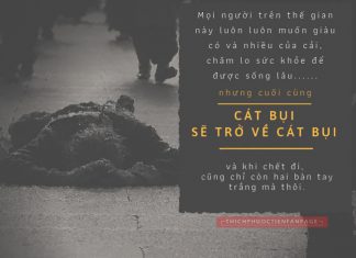 Trở về cát bụi THICHPHUOCTIEN-cat-bui