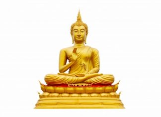 Bản ngã dục vọng