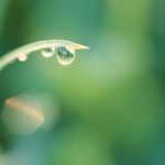 Nhận diện hinh-nen-giot-suong-5