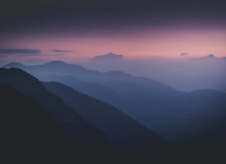Nếu thương tôi