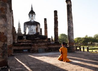 Suy ngẫm về câu chuyện Đức Phật và Hạt cải
