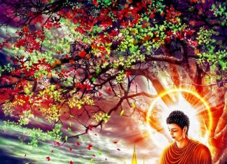 Hãy Quên Đi phat-phat-ung-dung-14