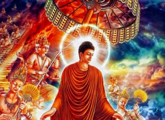 Xin Đừng Làm Khổ Nhau phat-phat-ung-dung-15