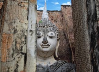 Tội Ác Của Lòng Tham phat-phat-ung-dung-16