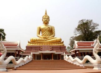 Nếu con nhớ thân con là cát bụi phat-phat-ung-dung-8