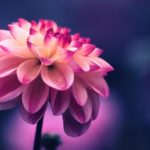 Nếu Biết Ngày Mai Đã Muộn Rồi!