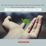 10 điều chớ quên trong cuộc sống 10-dieu-cho-quen-trong-cuoc-song