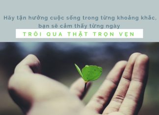 10 điều chớ quên trong cuộc sống 10-dieu-cho-quen-trong-cuoc-song