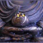 Bông Hoa Thật Bong-Hoa-That
