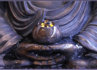 Bông Hoa Thật Bong-Hoa-That