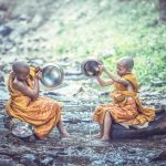 Cảm Ơn Cam-On