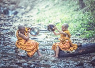 Cảm Ơn Cam-On