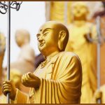 Đàn Kiến Và Bức Tường Dan-kien-va-buc-tuong