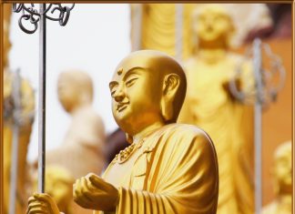 Đàn Kiến Và Bức Tường Dan-kien-va-buc-tuong