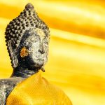 Đất Nở Hoa Dat-No-Hoa