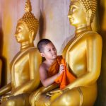 Đến Và Đi Den-Va-Di