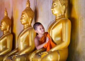 Đến Và Đi Den-Va-Di