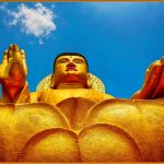 Giữa Những Vội Vã Giua-Nhung-Voi-Va