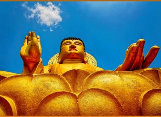 Giữa Những Vội Vã Giua-Nhung-Voi-Va