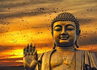 Hai Viên Sỏi Hai-vien-soi