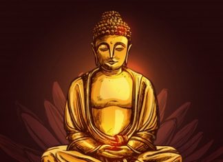Hãy Là “Ong” Đừng Là “Ruồi” Hay-La-Ong-Dung-La-Ruoi