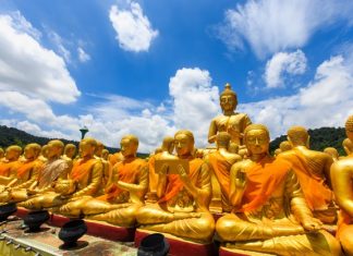 Khỉ Vớt Trăng Khi-Vot-Trang