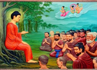Muỗi Và Sư Tử Muoi-Va-Su-Tu