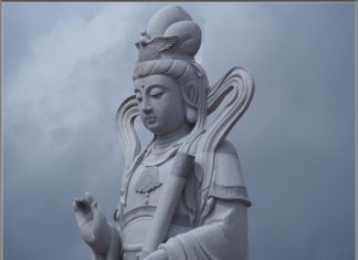 Thiền Sư Và Con Bọ Cạp Thien-Su-Va-Con-Bo-Cap